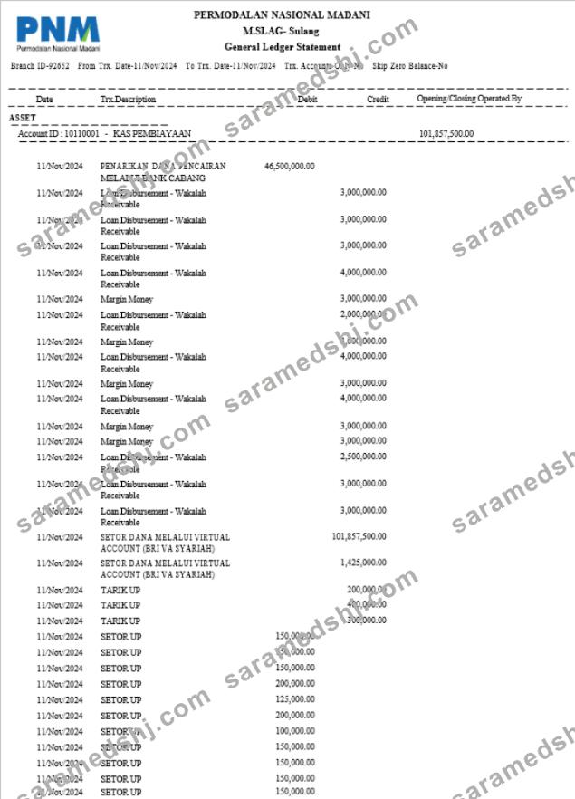 Indonesia Permodalan Nasional Madani bank statement 3 – 6 months Word and PDF example